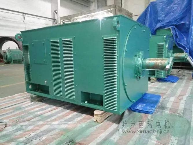 西瑪電機(jī)Y5603-10 560KW <a href=http://www.jackspipe.com/new/new-47-621.html target='_blank'><a href=http://www.jackspipe.com/new_tags_225.html target='_blank'>10kv高壓電機(jī)</a></a>